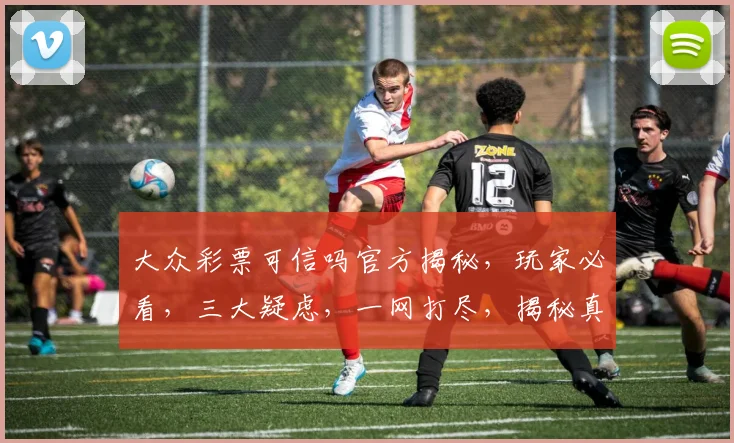 大众彩票可信吗官方揭秘，玩家必看，三大疑虑，一网打尽，揭秘真相，安全可靠吗