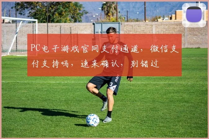 PC电子游戏官网支付通道，微信支付支持吗，速来确认，别错过