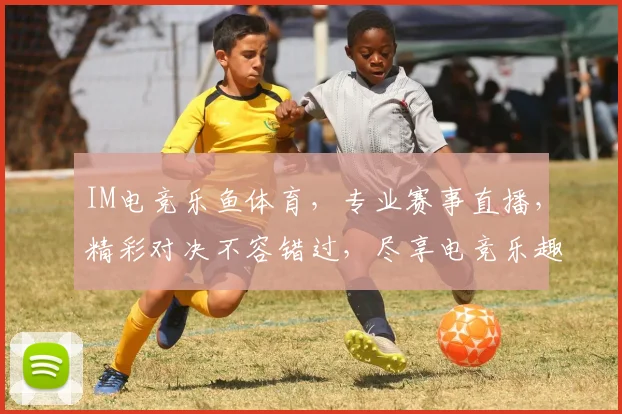 IM电竞乐鱼体育，专业赛事直播，精彩对决不容错过，尽享电竞乐趣